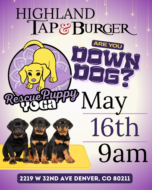 Rescue Puppy Yoga - Highland Tap & Burger