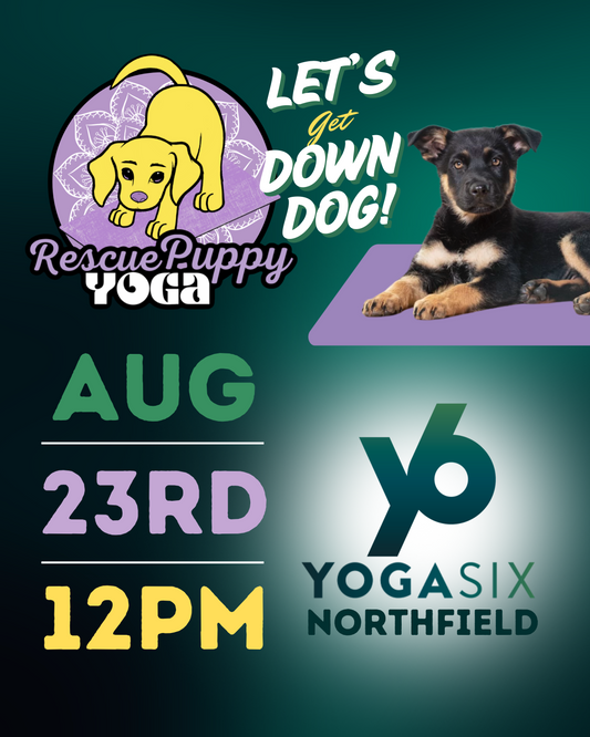 Rescue Puppy Yoga - YogaSix Northfield
