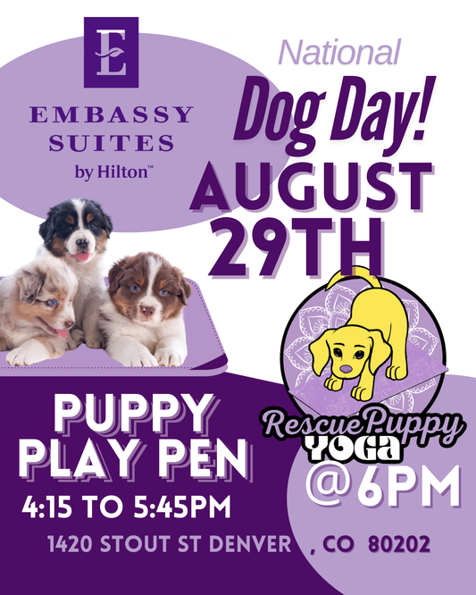 Puppy Yoga Party - Embassy Suits Denver Downtown Convention Center