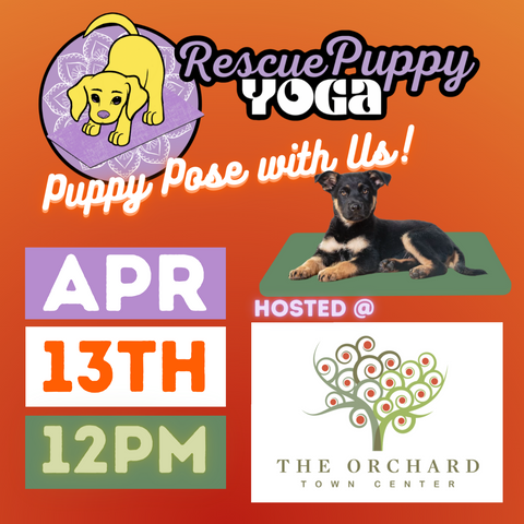 Rescue Puppy Yoga - The Orchard Town Center
