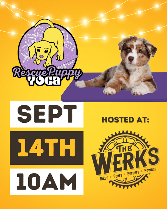Rescue Puppy Yoga - The Werks