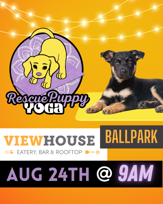Rescue Puppy Yoga - ViewHouse Ballpark