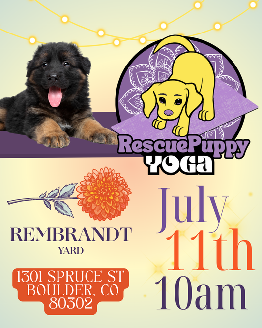 Rescue Puppy Yoga - Rembrandt Yard Boulder