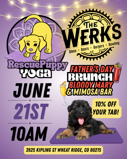 Rescue Puppy Yoga - The Werks