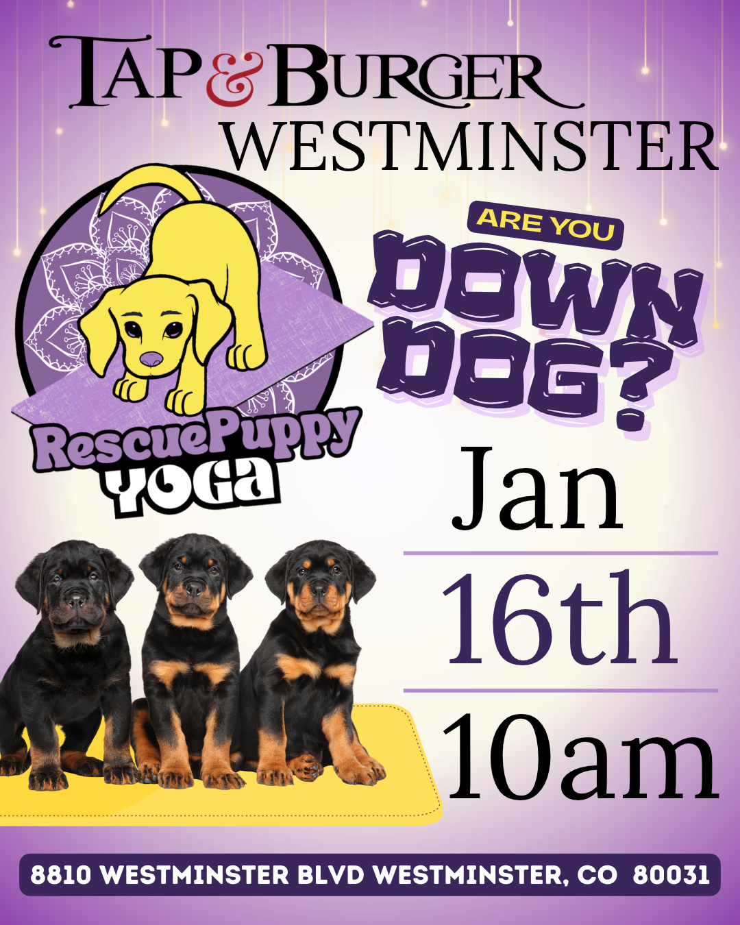 Rescue Puppy Yoga - Tap & Burger Westminster
