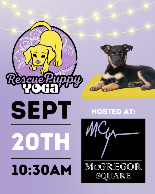 Rescue Puppy Yoga - McGregor Square
