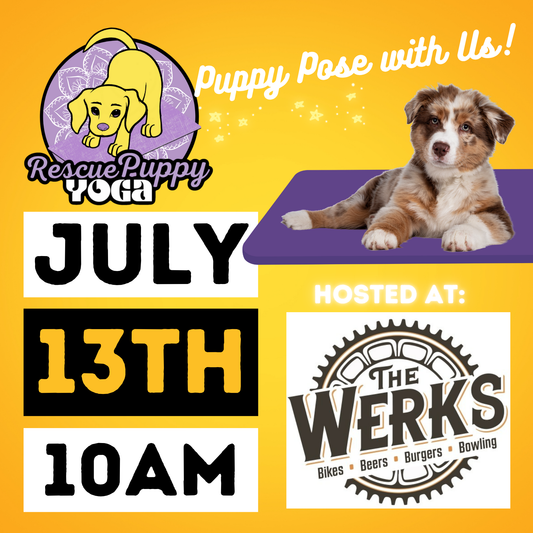 Rescue Puppy Yoga - The Werks
