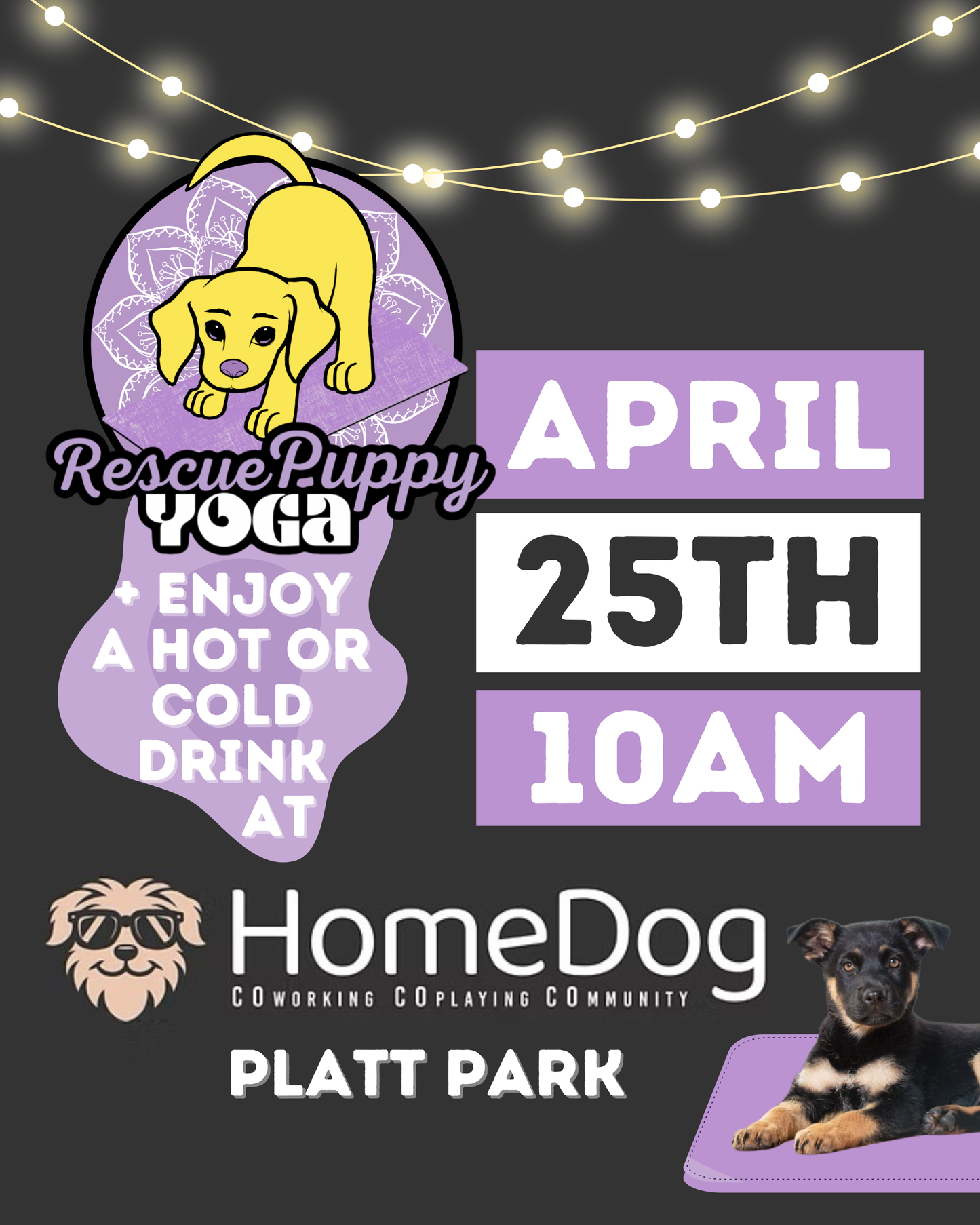 Rescue Puppy Yoga with Drink Included! - HomeDog
