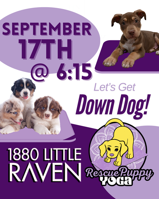 Rescue Puppy Yoga - 1880 Little Raven Apartments