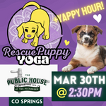 Rescue Puppy Yoga - Public House