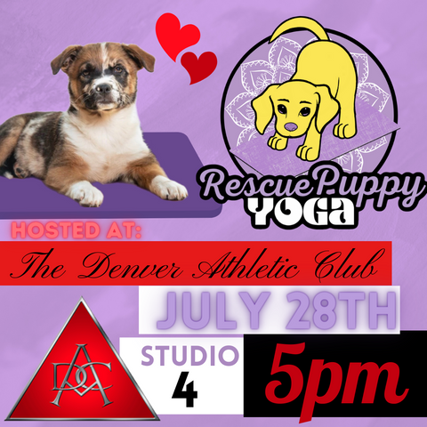 Rescue Puppy Yoga - The Denver Athletic Club