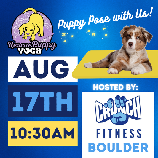 Rescue Puppy Yoga - Crunch Boulder