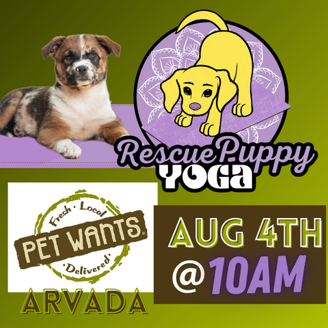 Rescue Puppy Yoga - Pet Wants Arvada