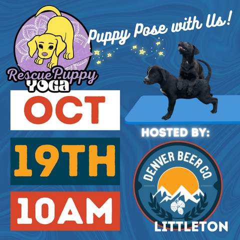 Rescue Puppy Yoga - Denver Beer Co. Littleton
