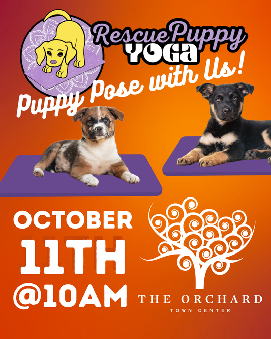 Rescue Puppy Yoga - The Orchard Town Center