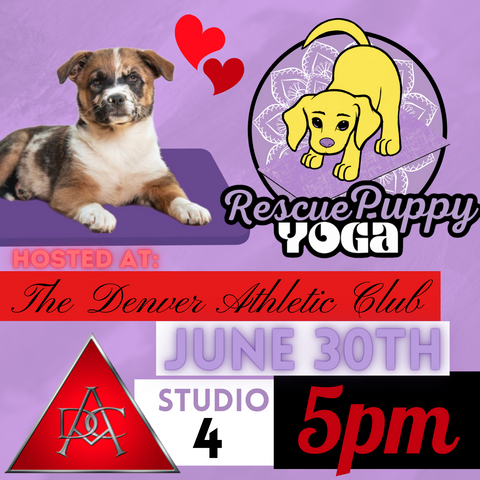 Rescue Puppy Yoga - The Denver Athletic Club 5PM
