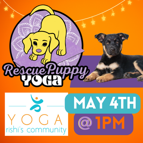 Rescue Puppy Yoga - Rishi’s Community Yoga 1pm
