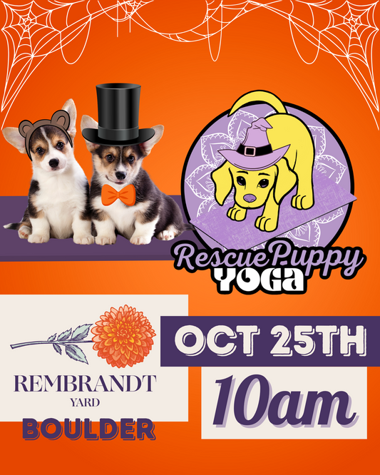 Rescue Puppy Yoga - Rembrandt Yard Boulder