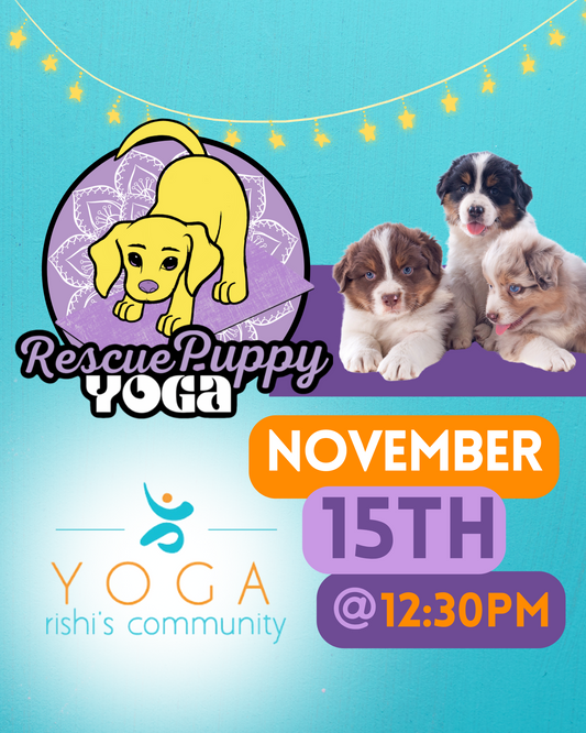 Rescue Puppy Yoga - Rishi’s Community Yoga 12:30pm