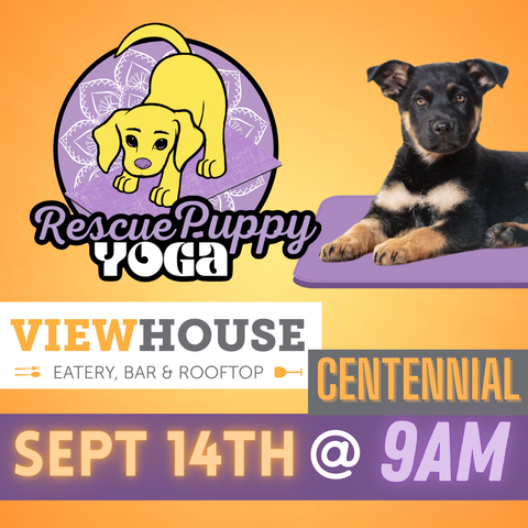 Rescue Puppy Yoga - ViewHouse Centennial