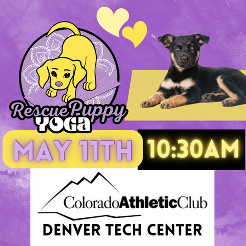 Rescue Puppy Yoga - Colorado Athletic Club Denver Tech Center