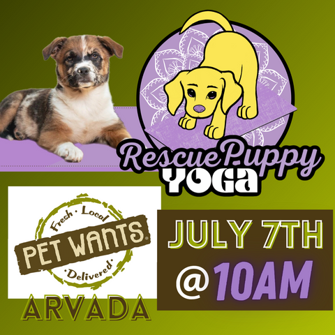 Rescue Puppy Yoga - Pet Wants Arvada