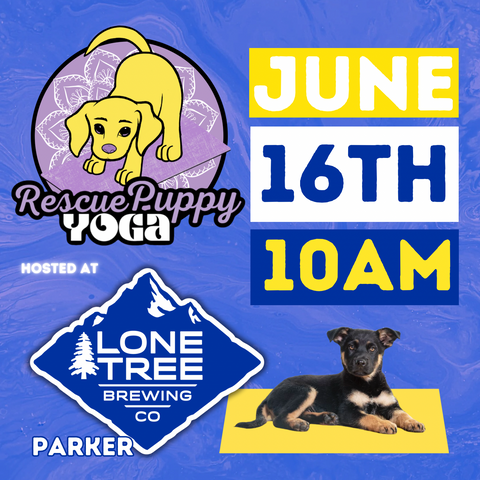 Rescue Puppy Yoga - Lone Tree Brewing Co. Parker Location