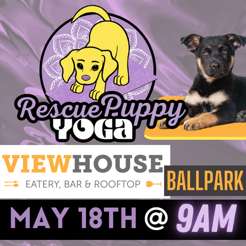 Rescue Puppy Yoga - ViewHouse Ballpark