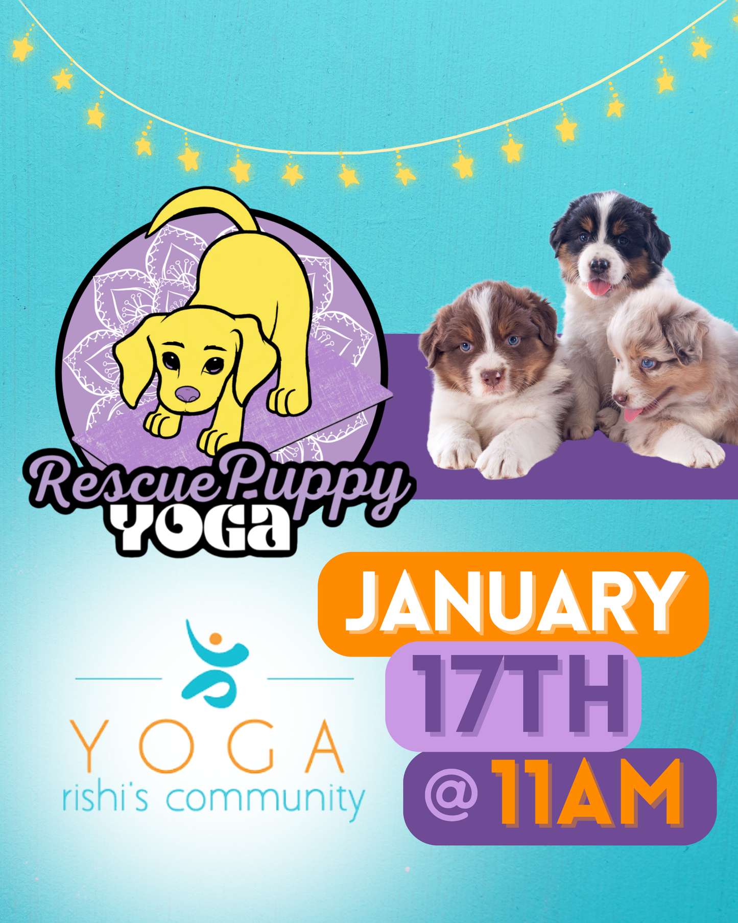 Rescue Puppy Yoga - Rishi’s Community Yoga 11am