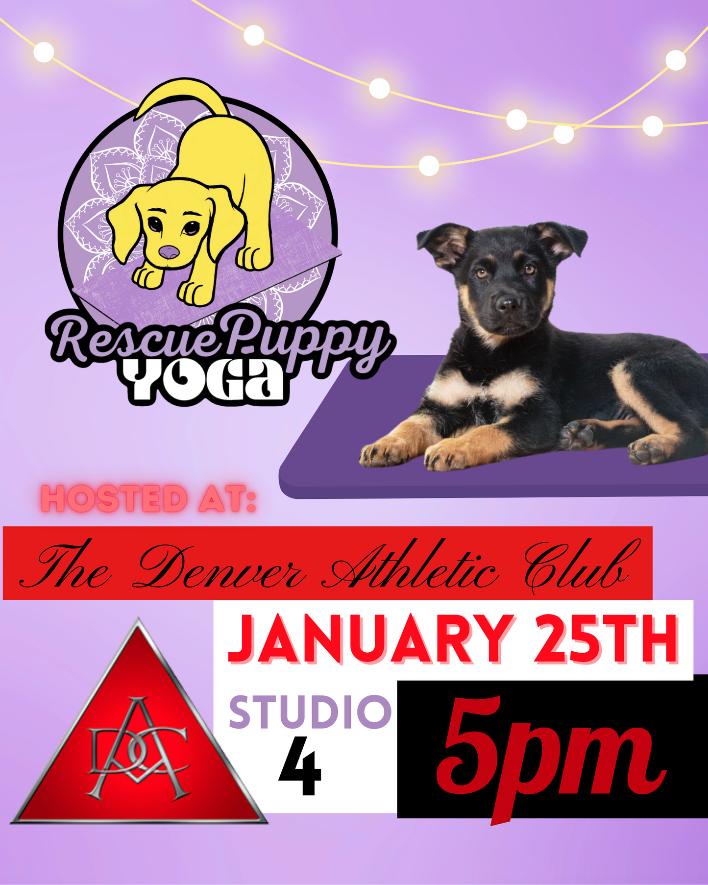 Rescue Puppy Yoga - The Denver Athletic Club