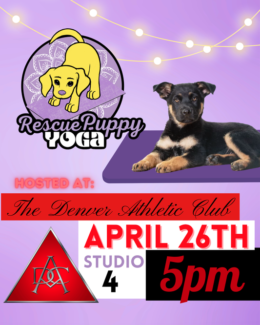 Rescue Puppy Yoga - The Denver Athletic Club