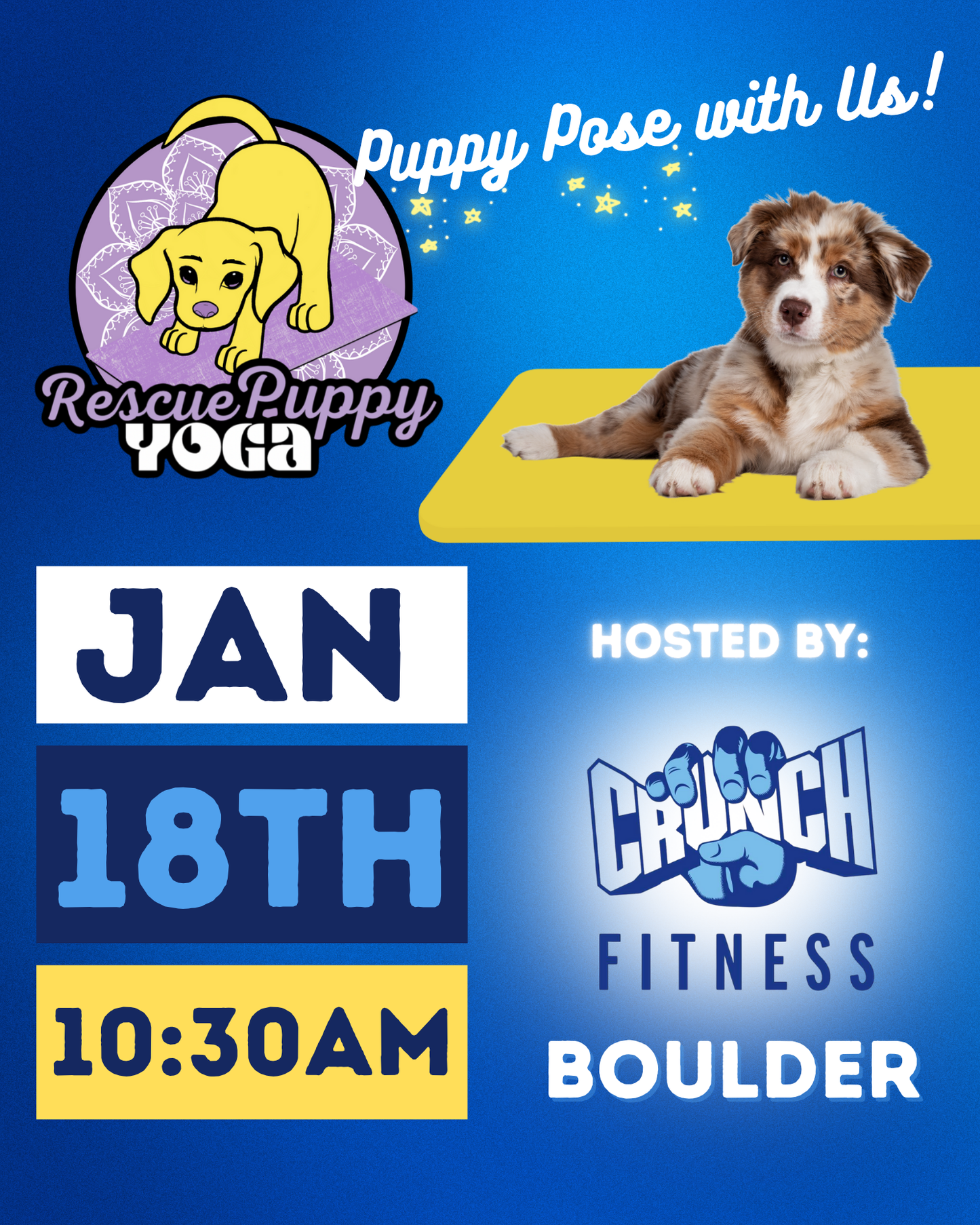 Rescue Puppy Yoga - Crunch Boulder