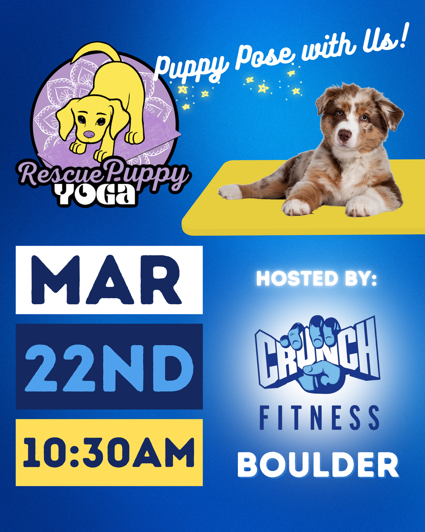Rescue Puppy Yoga - Crunch Boulder