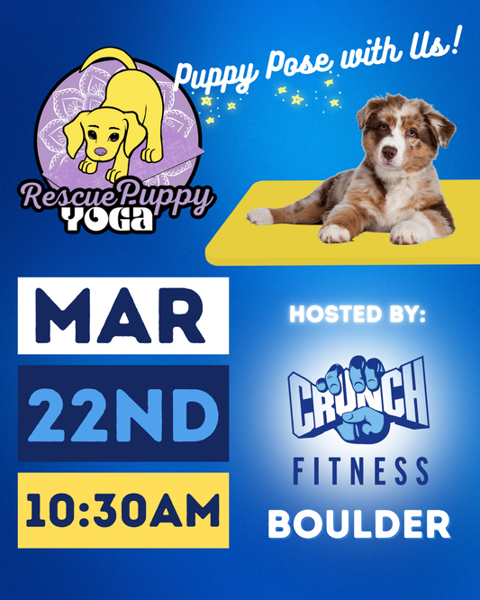 Rescue Puppy Yoga - Crunch Boulder