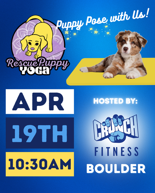 Rescue Puppy Yoga - Crunch Boulder