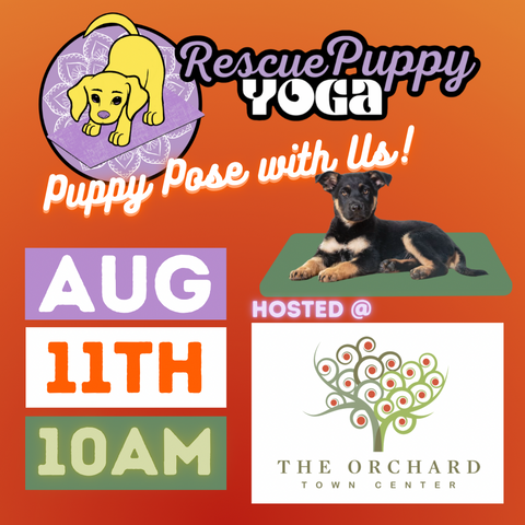 Rescue Puppy Yoga - The Orchard Town Center