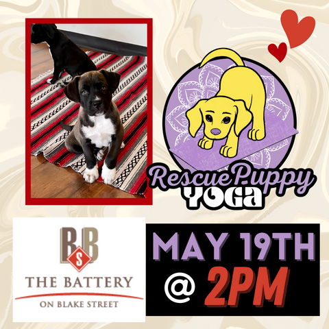 Rescue Puppy Yoga - The Battery Private Events