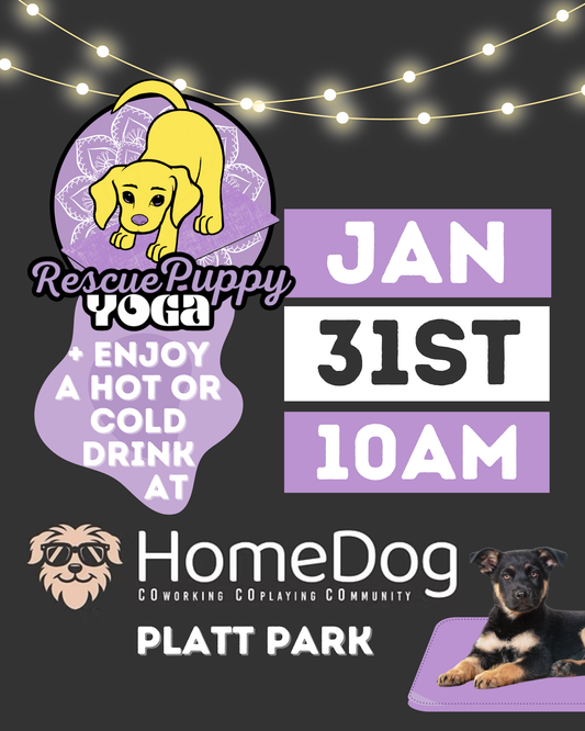 Rescue Puppy Yoga with Drink Included! - HomeDog