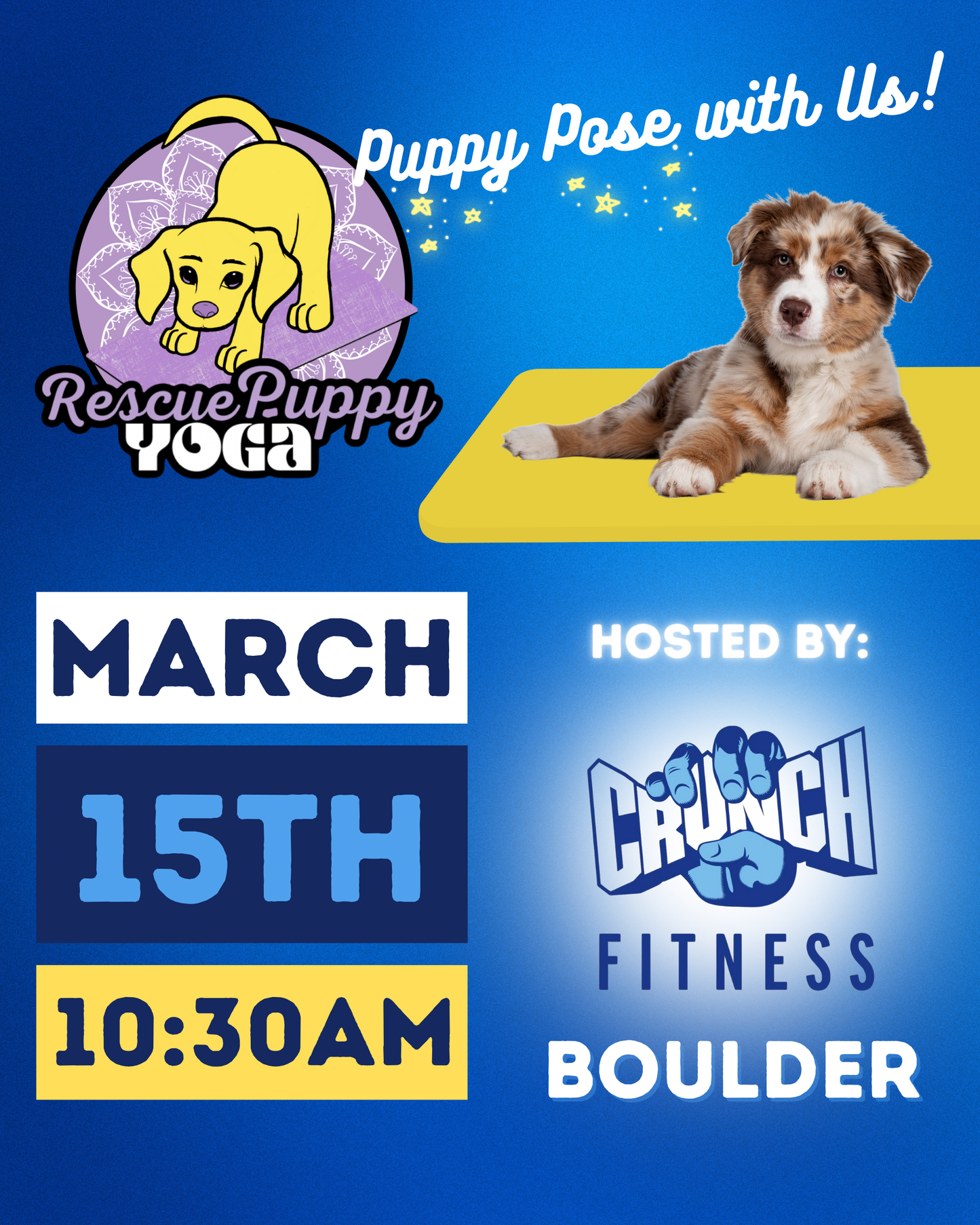 Rescue Puppy Yoga - Crunch Boulder