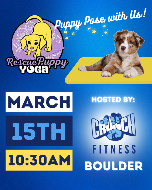 Rescue Puppy Yoga - Crunch Boulder