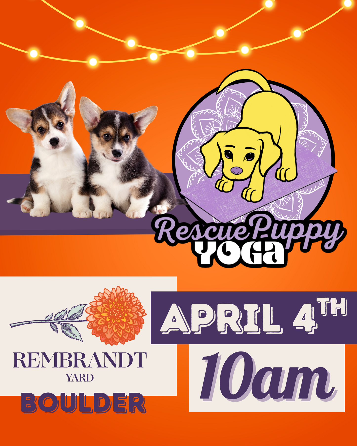 Rescue Puppy Yoga - Rembrandt Yard Boulder
