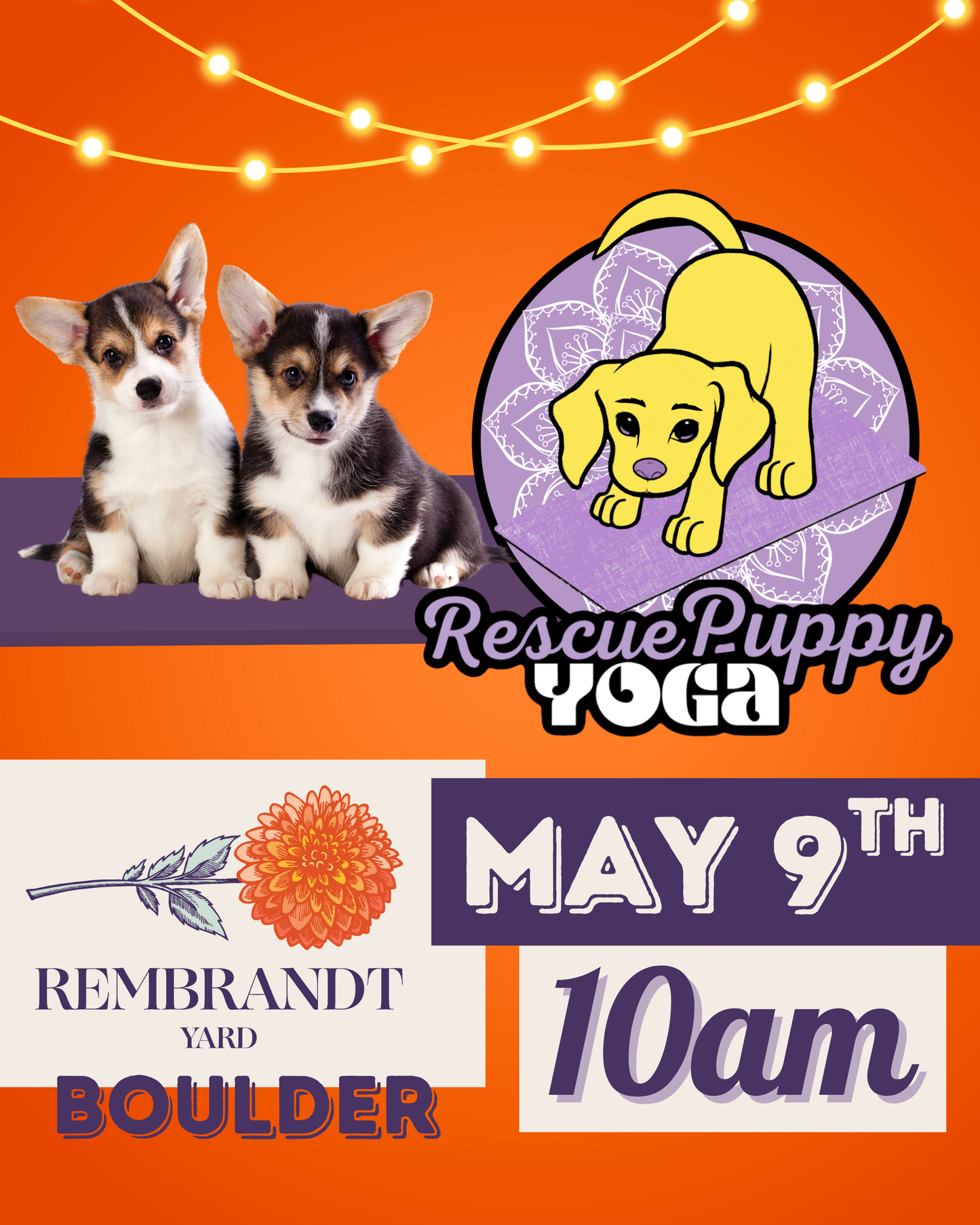 Rescue Puppy Yoga - Rembrandt Yard Boulder