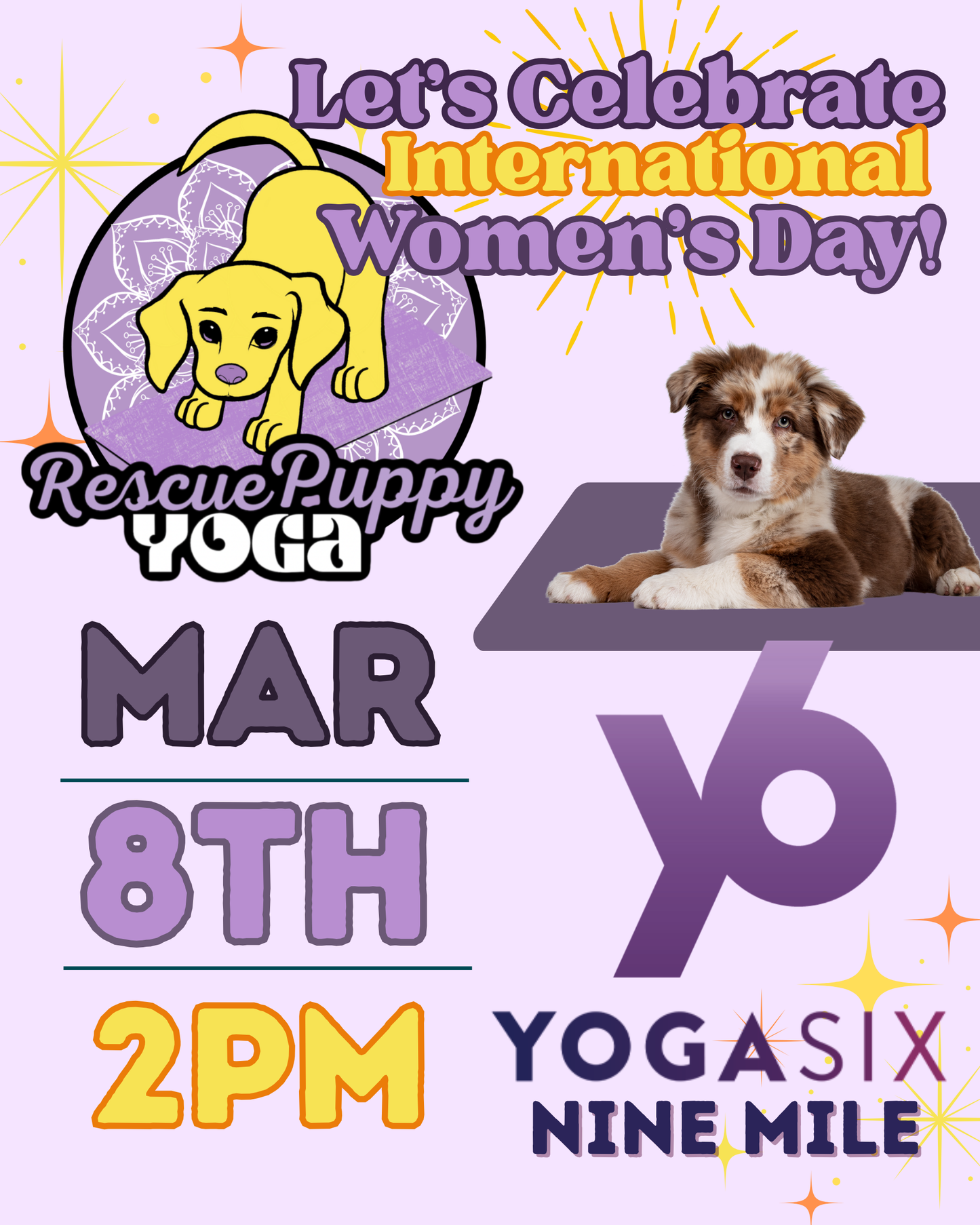 Rescue Puppy Yoga - YogaSix NINE MILE