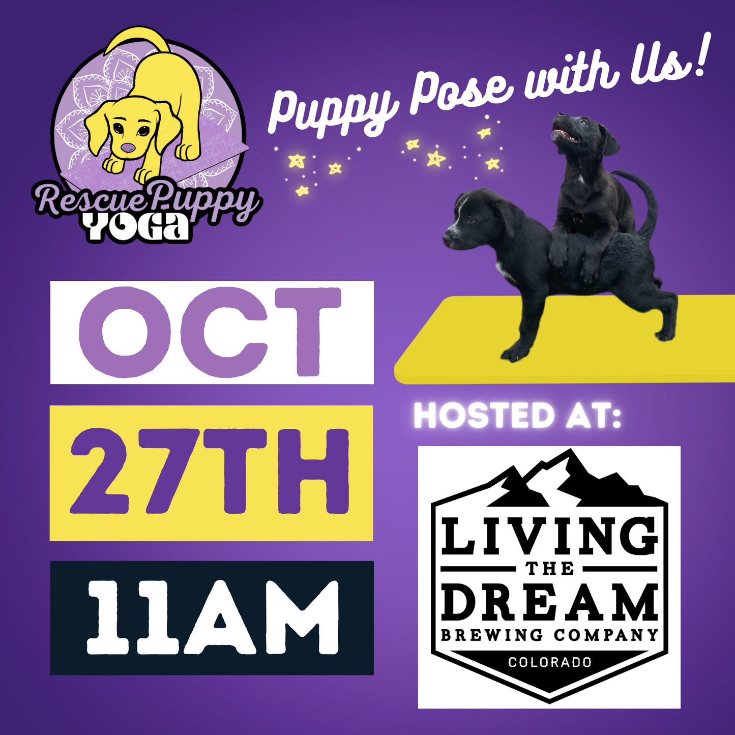 October Puppy Yoga - Living the Dream Brewing