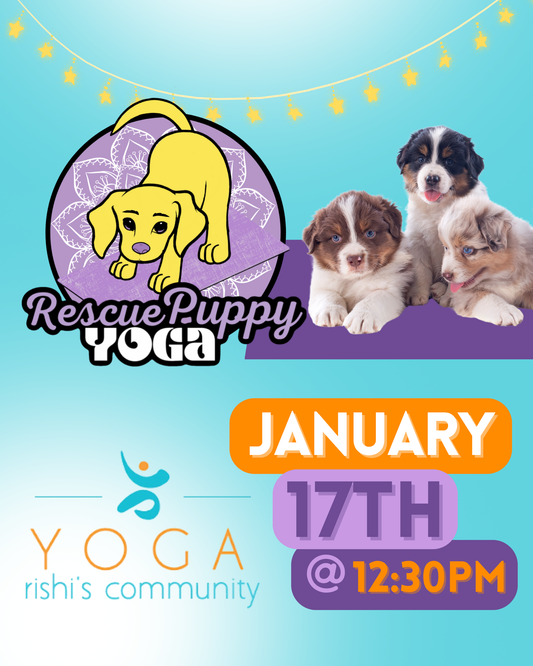 Rescue Puppy Yoga - Rishi’s Community Yoga 12:30pm