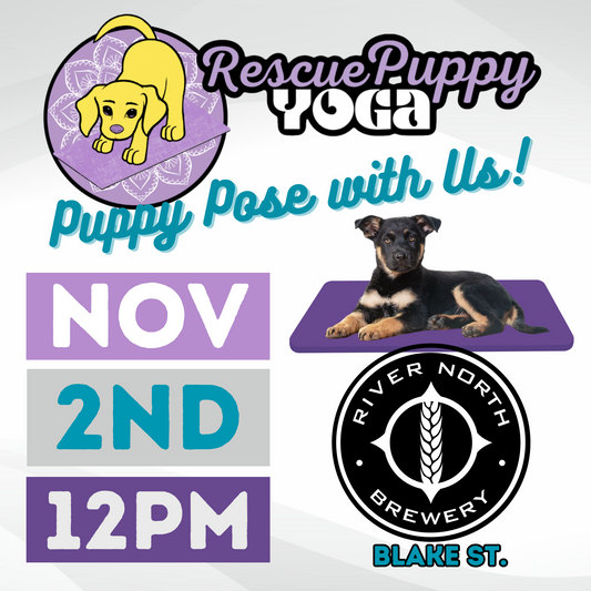 Rescue Puppy Yoga - River North Brew - Washington St.