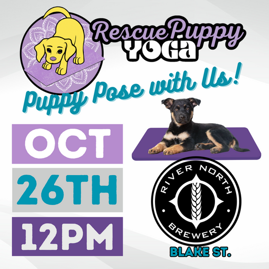 Rescue Puppy Yoga - River North Brew - Blake St.