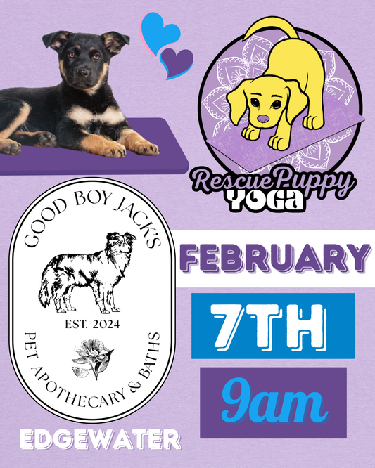 Rescue Puppy Yoga - Good Boy Jack’s Pet Apothecary