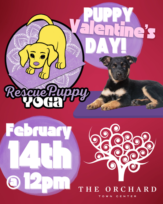 Rescue Puppy Yoga - The Orchard Town Center - Valentine’s Day Event