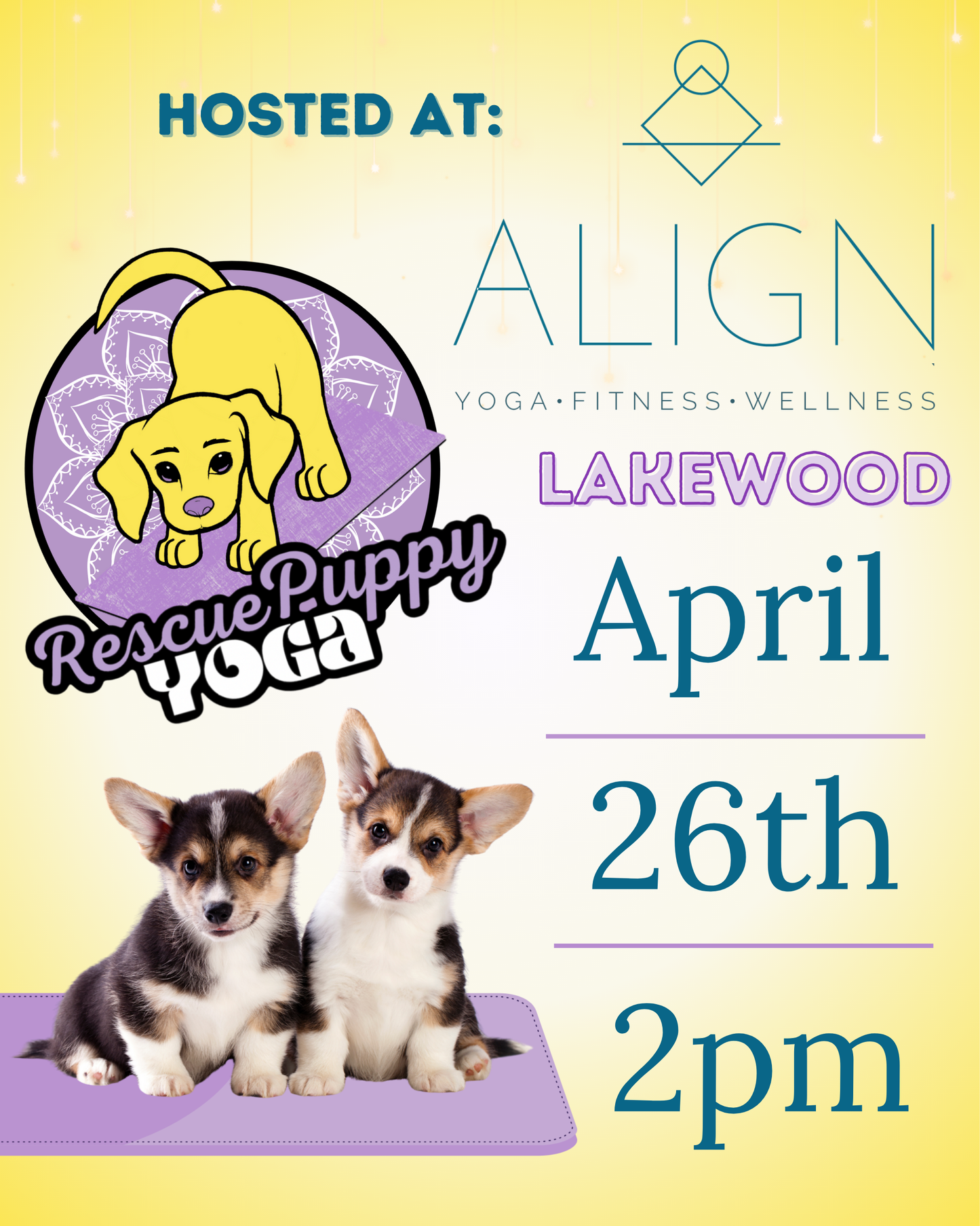 Puppy Yoga - Align Lakewood